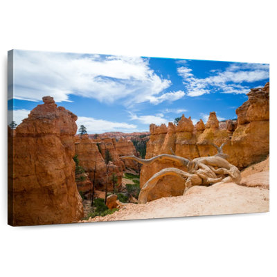 Alvord Bryce Canyon
