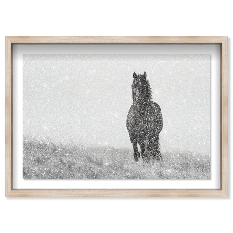 Lone Stallion I Print by Oliver Gal, 11.5" H x 16.5" W, Natural Oak Shadowbox