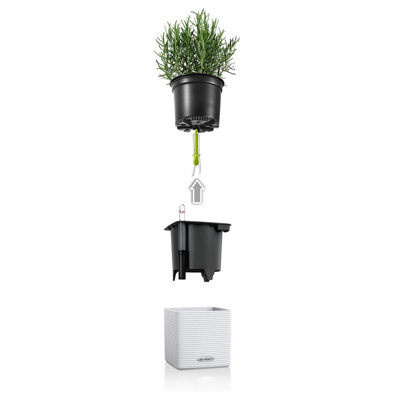 3 Green Plastic Self-Watering Sticks for Indoor and Outdoor