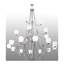 Everett 21 - Light Chandelier