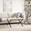 Chetna Coffee Table Legs X-Frame Steel-1428582305