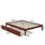 Lit plateforme robuste en bois massif avec lit gigogne Aayanna-448667732-447822423