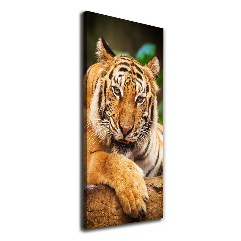 Bengal Tiger - Wrapped Canvas Print