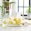 Ascent Tumbler and Rocks Glass Set