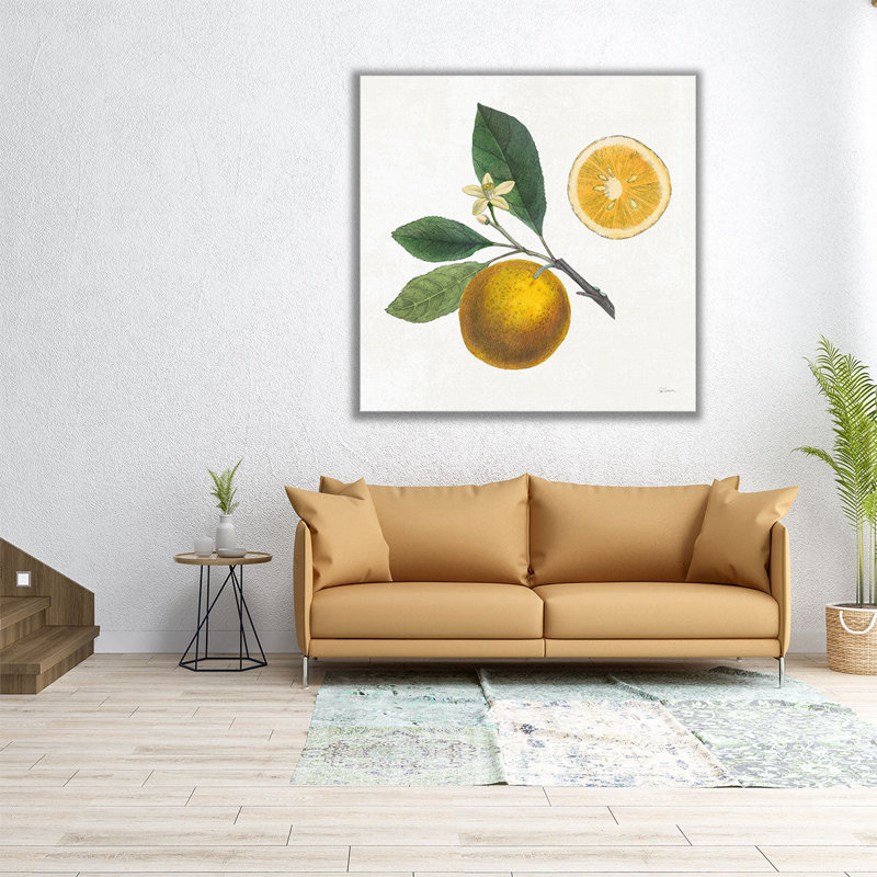 Classic Citrus II - Canvas Print Wall Art, 12" H x 12" W