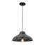 Luminaire suspendu en dôme en bois de pin noir à 1 lumière Farmhouse