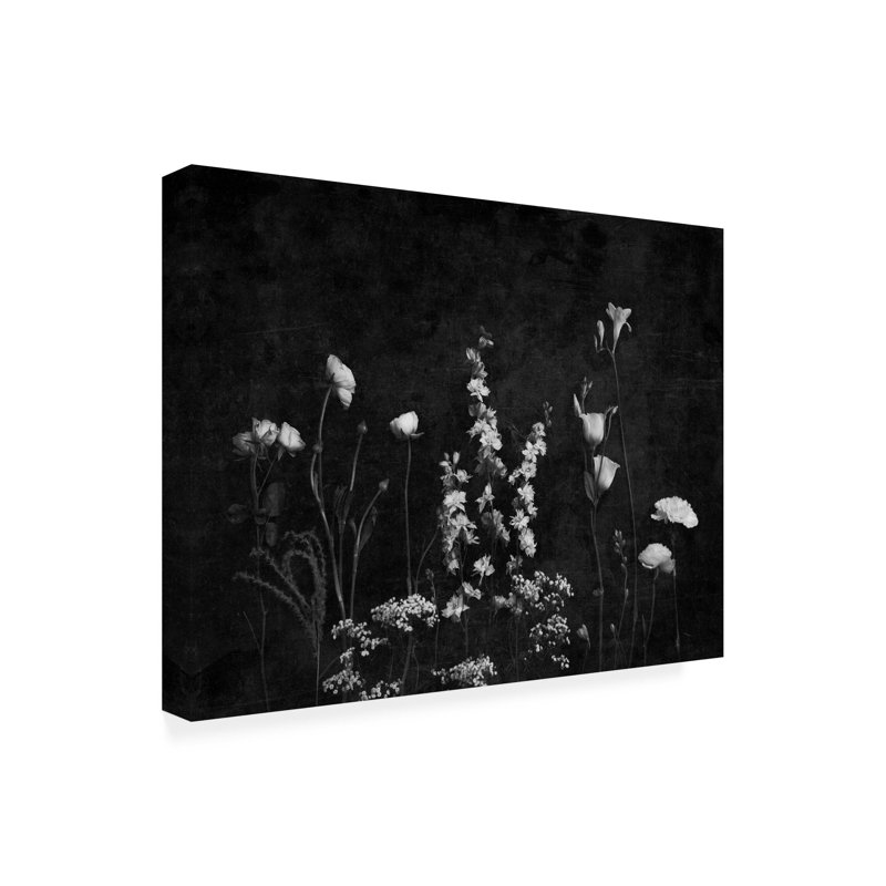 Paysage paysage botanique noir et blanc avec texture, H 14 po x l 19 po x P 2 po