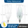 60-Watt Equivalent C11 Non-Dimmable Candle LED Light Bulb E12 5000K