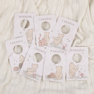 Disney Baby Closet Dividers Fabric Hanging Organizer