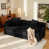 Plush Black est en rupture de stock