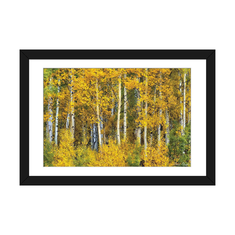 Jaune, reproduction d’art sur toile, H 16 po x l 24 po x P 1 po, Papier avec cadre noir, Blanc