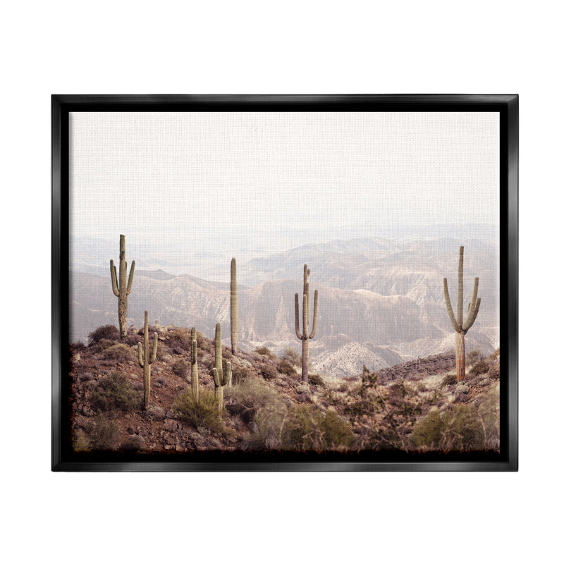 Cactus surplombant le désert, art mural encadré par Sissi et Seb, Cadre flottant noir de jais, H 17 po x l 21 po x P 1,7 po
