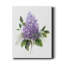 Lilas Romance I - reproduction d'art sur toile tendue-696364203