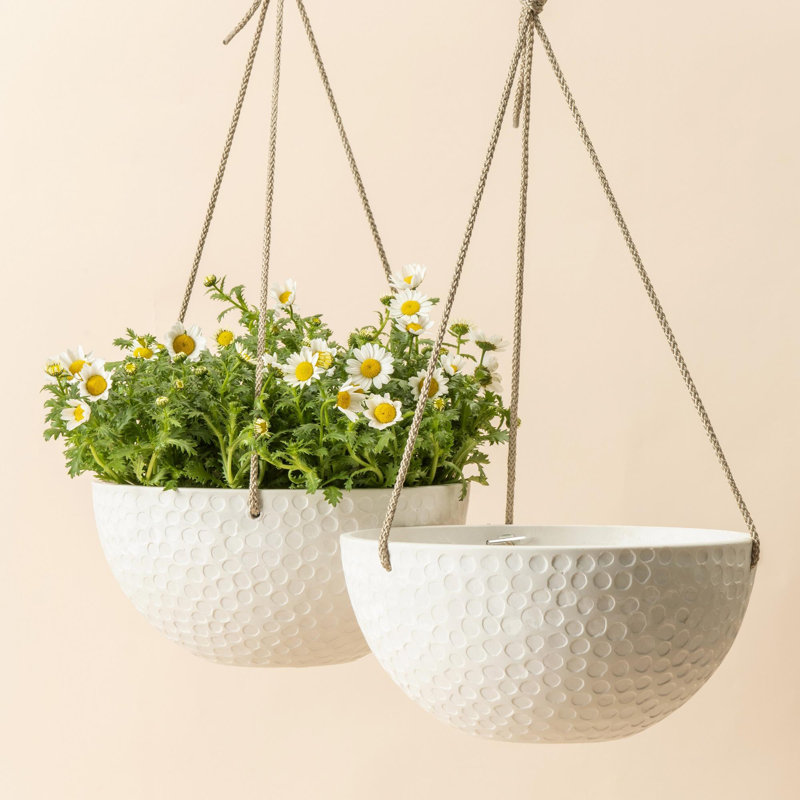 Bee Honeycomb Plastic Hanging Planter, White, 6'' H x 13.2'' W x 13.2'' D