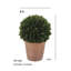 12" Artificial Boxwood Plant in Round Pot-553209786