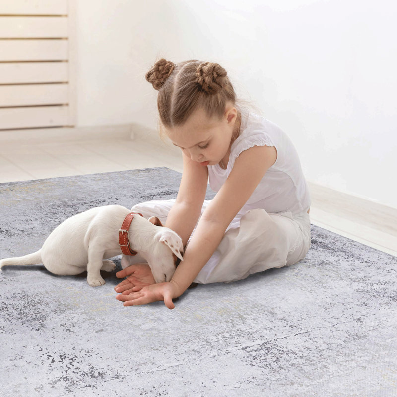 Washable 4X6 Area Rug, Non-Slip, Non-Shedding, Low-Pile, Foldable, & Pet - Add A Touch Of Elegance To Your Kitchen, Dining Room  Gray Make Bedroom, Living Room, More Attractive