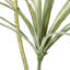 Plante de plancher en yucca artificiel de 55 po Desert Crest