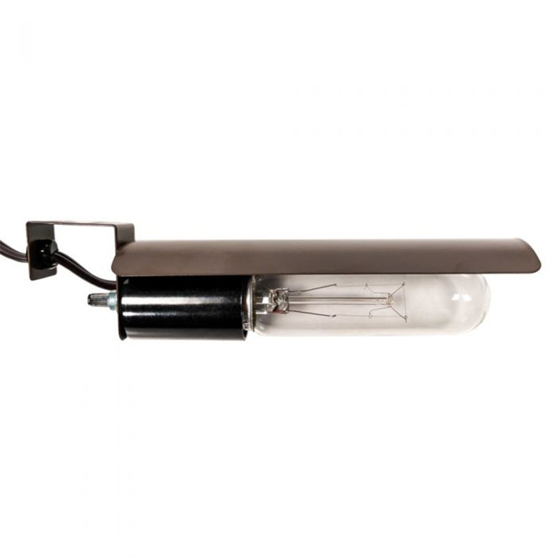 Curio Lighting Kit