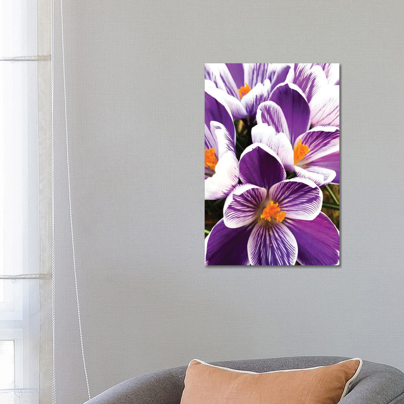 Springtime Dance by Heidi Bannon - Wrapped Canvas Print