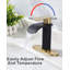 Single-Hole Single-handle Bathroom Faucet with Drain Assembly-95166408