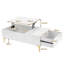 Lift Top Coffee Table with Storage-1075367356