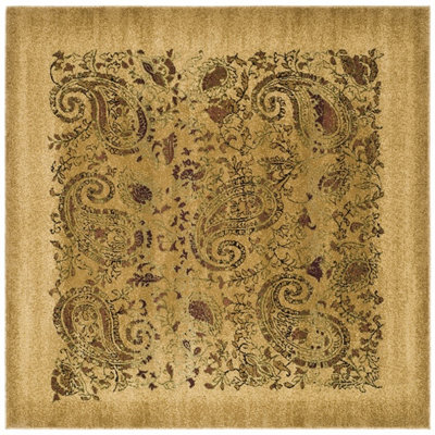 Klose Performance Paisley Rug
