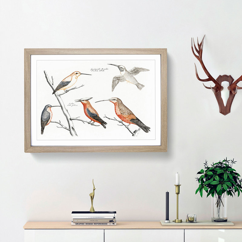 Five Hummingbirds by Johan Teyler - Picture Frame Art Print, Oak Framed, 36cm H x 48cm W x 2cm D