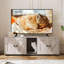 Armoire à litière double pour chat - meuble télé caché pour litière, meuble pour litière moderne caché pour 2 chats, entrée principale, maison pour chat, table de bout latérale, meuble télé avec enceinte pour litière pour chat