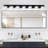 Dimmable LED Vanity Light Fixture 5500K-1634165445-1634165443