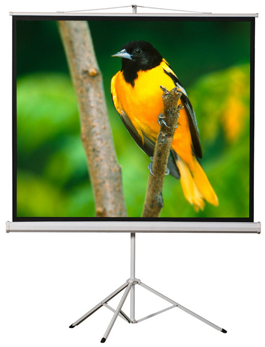 Écran de projecteur blanc à trépied portable, Diagonale de 119 po (84 po x 84 po)