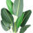 Curtis 60'' Faux Flowering Tree in Pot