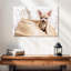 Chihuahua Rowdy-107889640