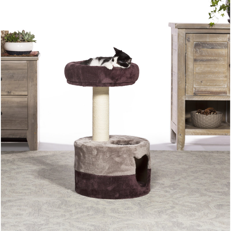 Arbre à chat 25 po Blasko Power Paws