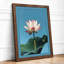 Lotus in Bloom Botanical - Framed Print-1039474217-1039474220