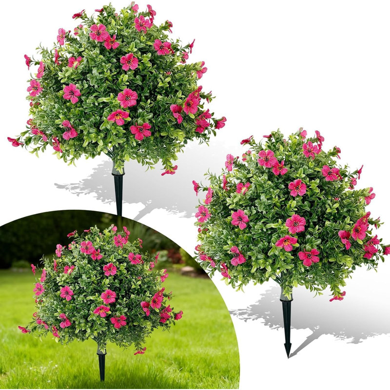 60cm Plant