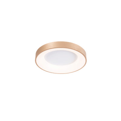 LED Flush Mount