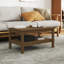 Kanthiah Solid Wood Four Leg Coffee Table with Storage-225825198-225825195