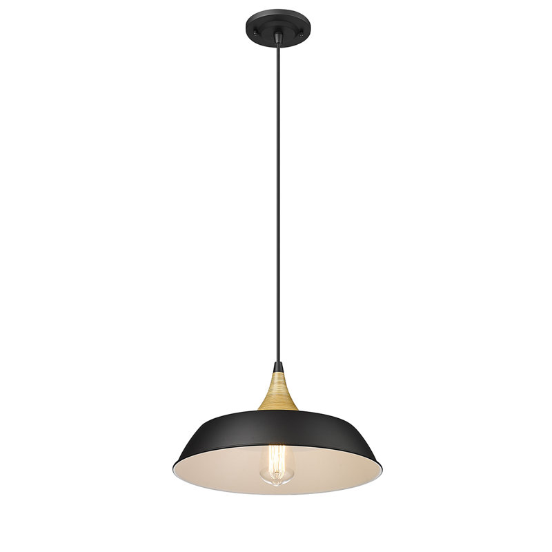 Luminaire suspendu en forme de dôme à 1 lumière Elisabet, Noir