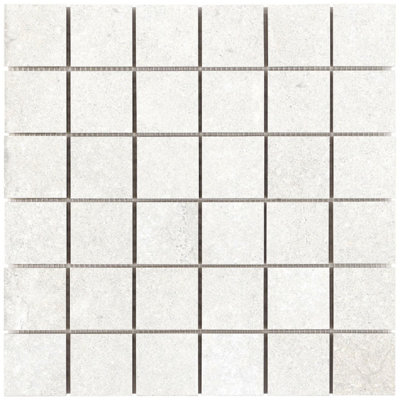 2" x 2" Porcelain Grid Wall & Floor Tile