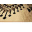 Tapis Calica-1786189402