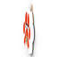 Gruia Wall Decor