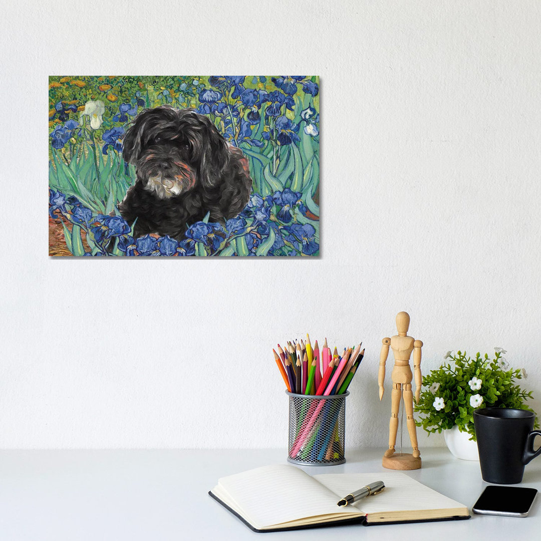 Schnoodle Irises by Nobility Dogs - Wrapped Canvas Art Prints