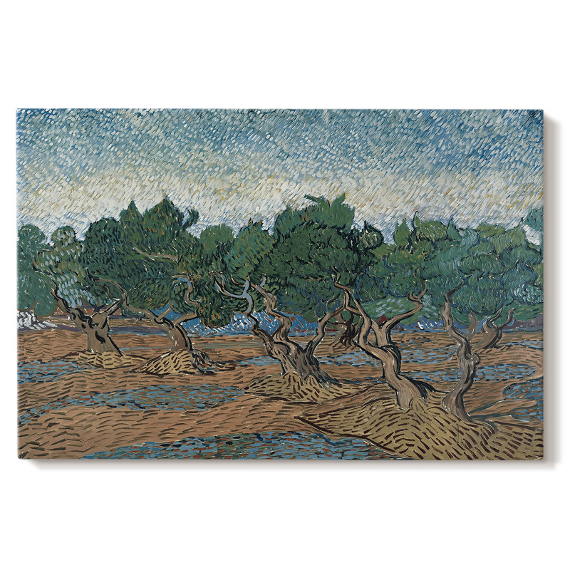 Olive - Vincent van Gogh - Toile tendue avec châssis - 1889, 32 x 48