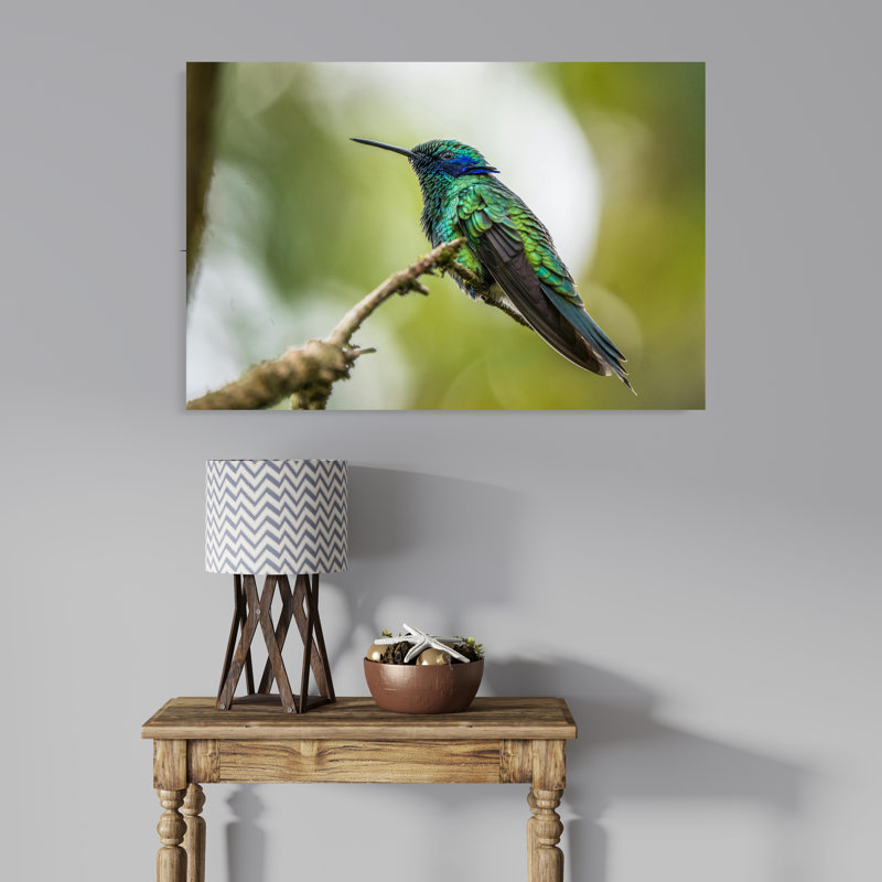 A Sparkling Violetear on a Branch, 8" H x 12" W