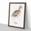 A Quail by Johan Teyler - Single Picture Frame Painting-55450949-55450947