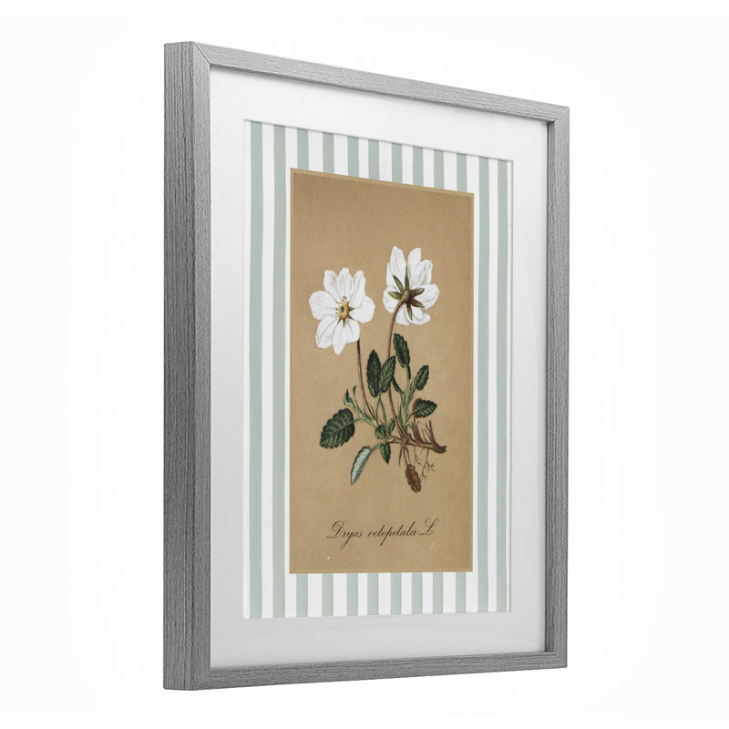 Reproduction sous verre encadrée de fleurs blanches et de rayures vertes, par lettrage et doublure, H 16 po x l 13 po