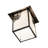 Coreatha 1 - Light Craftsman Brown Lantern Pendant
