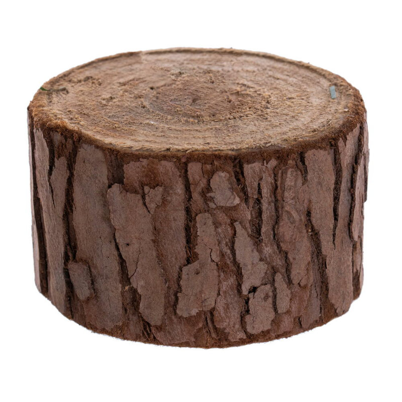 Mini pin 24 "avec base en bois 282 pointes