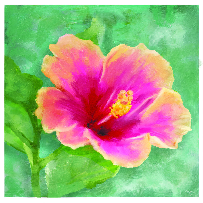 «Hibiscus» par Mollie B. - Impression sur toile tendue, H 12 po x l 12 po