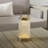 Tawa Metal USB Table Lamp-98891777